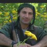Evîn Armanc Safo's profile picture