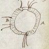 Фото профиля RKC