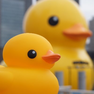 びるまち🇺🇦's profile picture