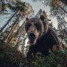 zooming's profile picture