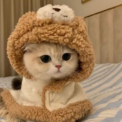 𝓡𝓸𝓼𝓮 𝓪𝓹𝓹𝓵𝓮's profile picture