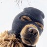 Profilbild von Funky 303