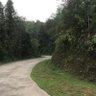 Фото профиля 云游