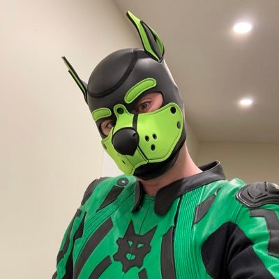 Hockey Pup's profile picture