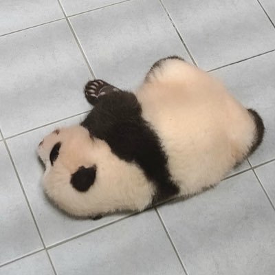 il0veyunosomuch's profile picture