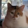 Athenean princess's profile picture