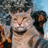 Rotciv 3 🇺🇦's profile picture