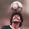 Profilbild von juanse ♥️🤍🦁