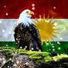 bave heval profil fotoğrafı