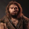 Ancient Dude's profile picture