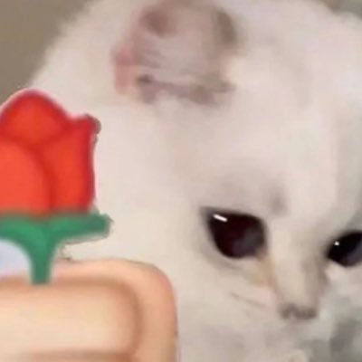 chali_more's profile picture