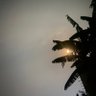 Temmy 💡 profil fotoğrafı