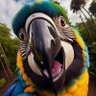 Fer's profile picture