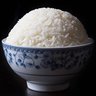 extra_rice's profile picture