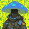 Profilbild von /indigo