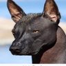 Skurk75 profil fotoğrafı