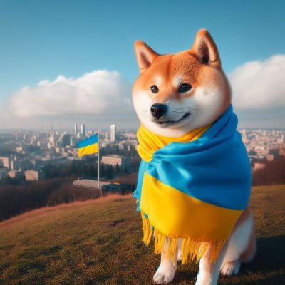 JeanMeslier01's profile picture