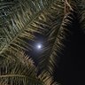 Фото профиля روان'