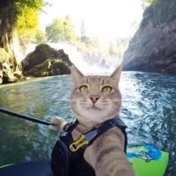 Fhantum's profile picture