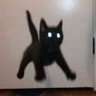 Askkj's profile picture