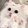 若铃 profil fotoğrafı