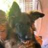 Stella M. Rodriguez's profile picture