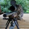 TERA profil fotoğrafı