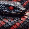 Saelum_SnakeVT profil fotoğrafı