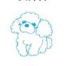 すぅー's profile picture
