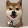 小在gui林 profil fotoğrafı