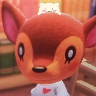 *・宝石あなた· *mao·͜·ᰔᩚ's profile picture