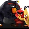 Sam21's profile picture
