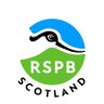 Фото профиля RSPB Scotland