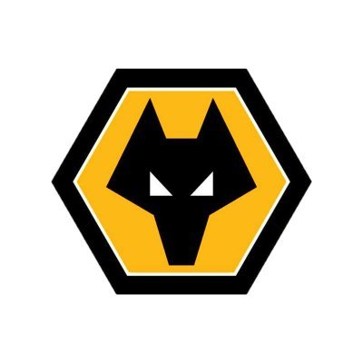Wolves Academy's profile picture