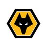 Wolves Academy's profile picture