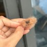 Фото профиля Tiny