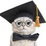 Hypto_Cat 的头像