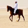 فيصل ال شنيف's profile picture