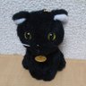 ぴちねこ 的头像