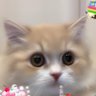 ジロー's profile picture