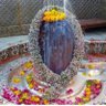RRSomani 的头像