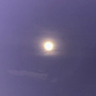 千 sen's profile picture