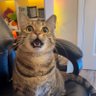 Random profil fotoğrafı