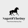 Фото профиля NapzOfTheDay