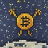 Moon4bitcoin profil fotoğrafı