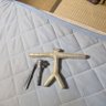 Фото профиля メシャクロキ