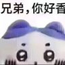 犯贱本贱's profile picture