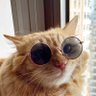 Soulle🎗️🐷 profil fotoğrafı