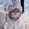 Profilbild von HE