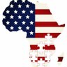 The American African 的头像